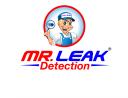 Mr. Leak Detection of Rincon logo